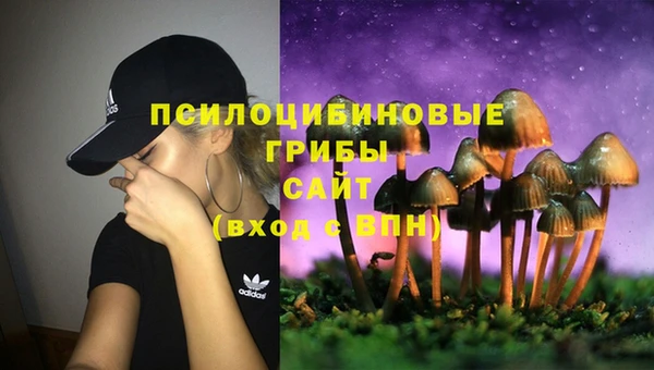 PSILOCYBIN Бугульма